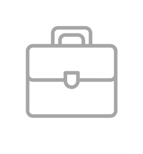 Catálogo bolsas Faraday